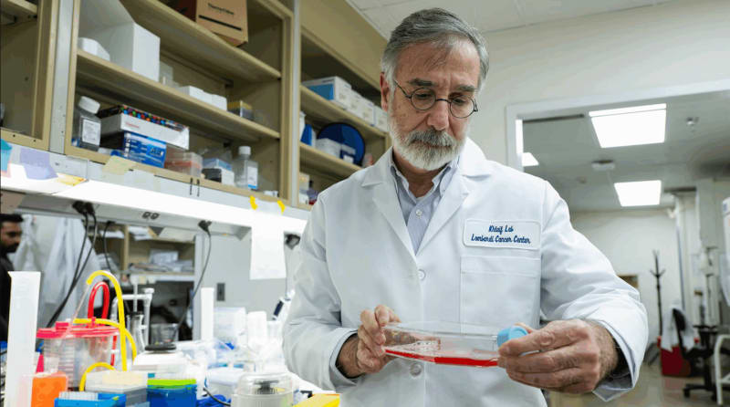 New Surface Test Spots Most Dangerous Cancer Cells - Image 5