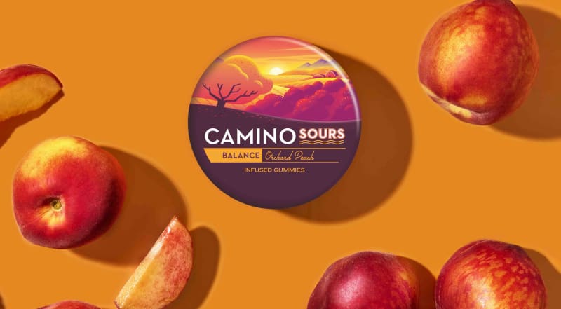 UK Sheep Farms Thrive with Solar Panels: 200% Growth - Image 3