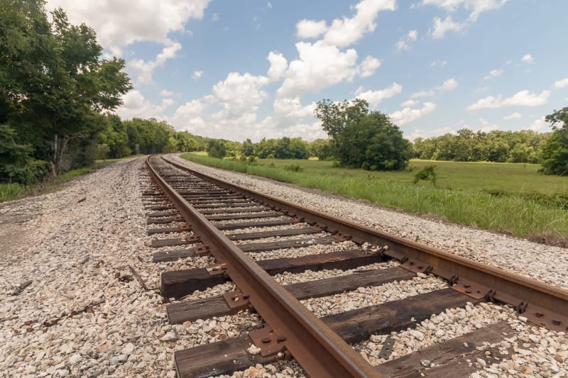 Texas Railroad Crew Saves Injured Raccoon from Tracks