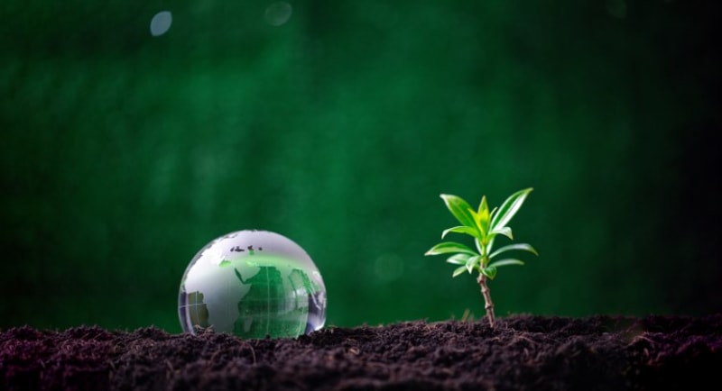 TELUS Hits 100% Renewable Energy Across Global Operations