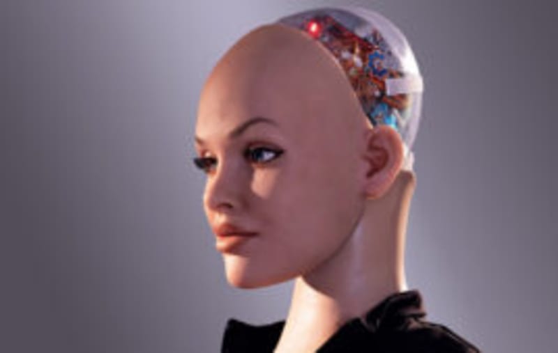 Toyota Canada Deploys Humanoid Robots After Year-Long Trial - Image 2