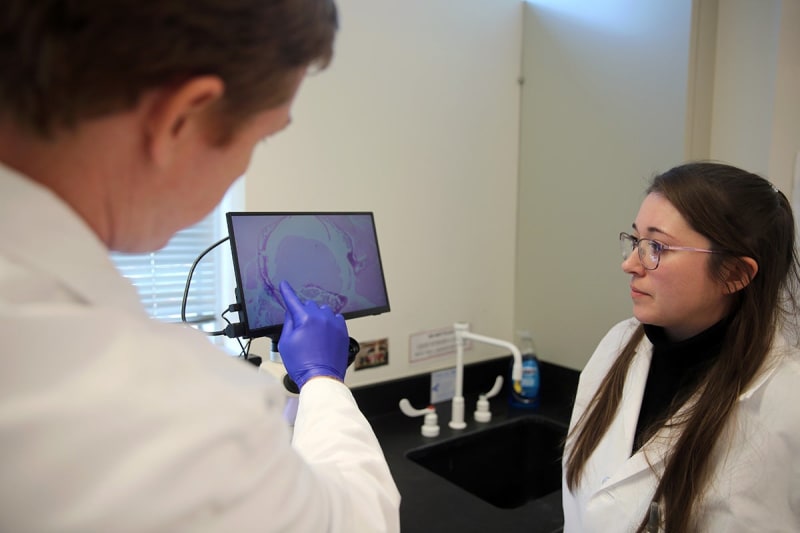 UCF Wins $747K Grant for New Diabetic Nerve Pain Therapy - Image 2
