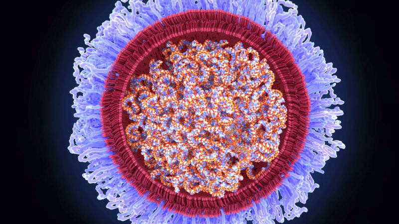 Scientists Race to Cure Sickle Cell Disease with Gene Therapy