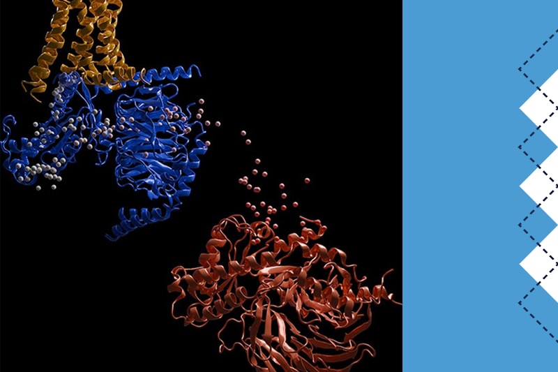 UNC Scientists Crack Code on How Common Drugs Work - Image 3