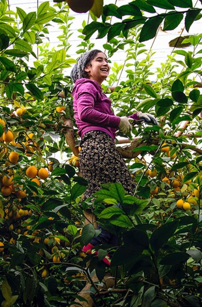 Saudi Arabia Builds First National Urban Policy With UN Help - Image 3