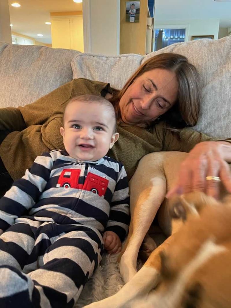 Viral Photo Hides Third Dog in Plain Sight - Image 5