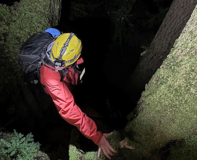 Lost Hiker, 69, Rescued After Dangerous Mount Seymour Descent