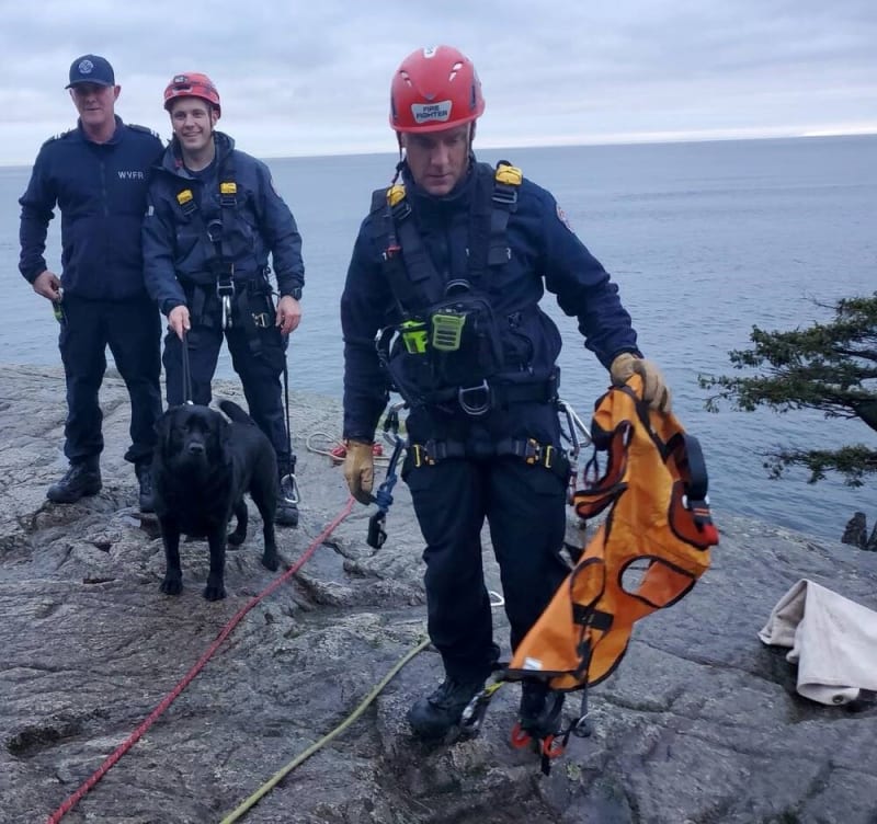 Firefighters Rappel Down Cliff to Save Barking Dog