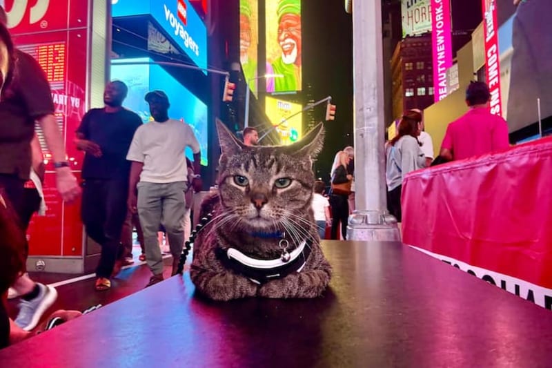 Firefighter Bear-Hugs Deer Across 500 Feet of Thin Ice - Image 3