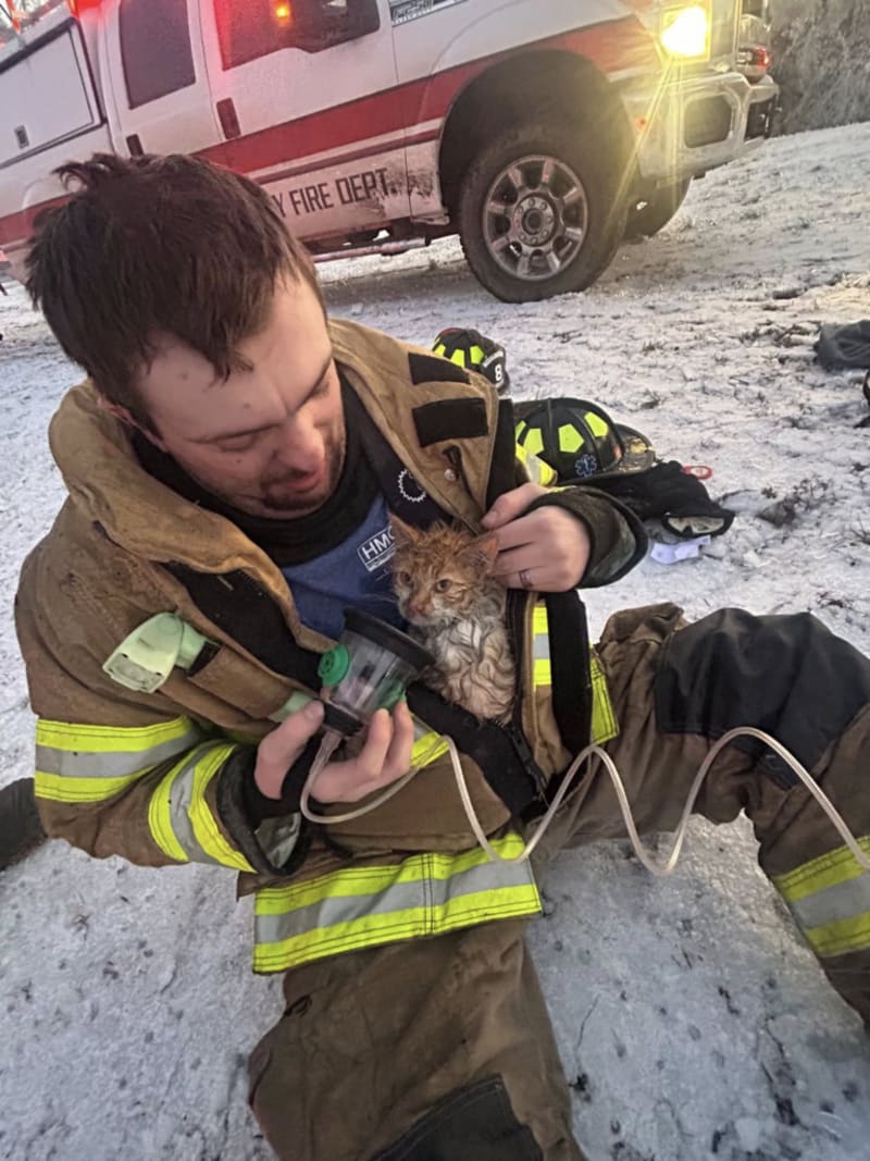 Tennessee Firefighters Save Kitten from House Fire