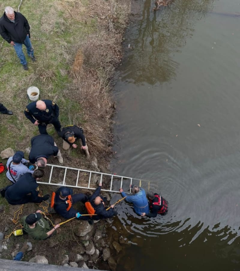 Alabama Firefighters Save Injured Man from Creek - Image 2