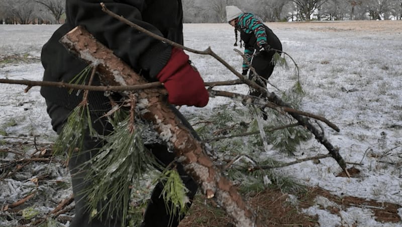 Volunteers clearing fallen tree branches and storm debris in Wilson County Tennessee neighborhood