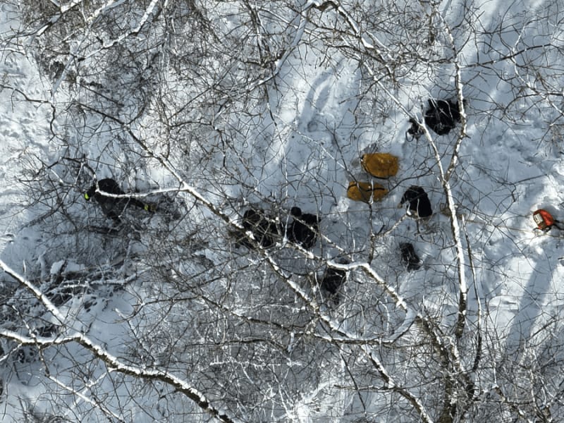 Firefighters Save Dog from Icy Connecticut River - Image 4