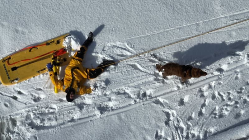 Firefighters Save Dog from Icy Connecticut River - Image 2