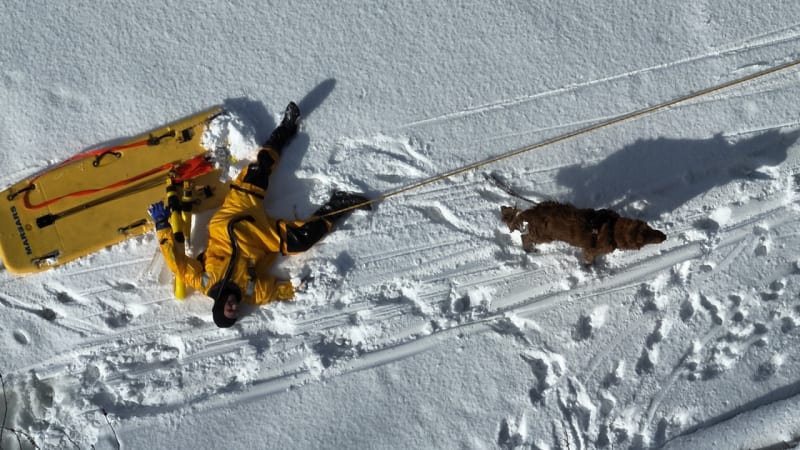 Firefighters Save Dog from Icy Connecticut River
