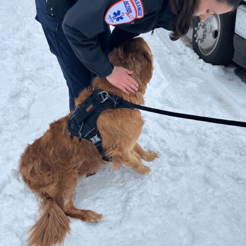 Firefighters Save Dog from Icy Connecticut River - Image 3