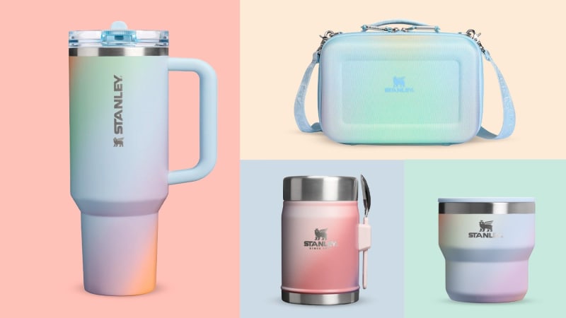 Two Bald Eagles Rescued After Talons Lock in Mid-Fight - Image 3