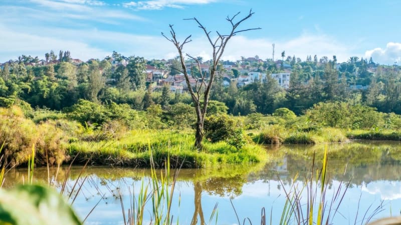 Rwanda's Capital Transforms Into Green Paradise With Ambitious Wetland Revival