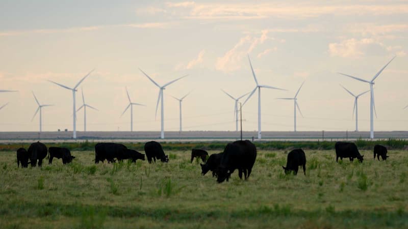 Large lithium battery storage system capable of powering thousands of homes during outages