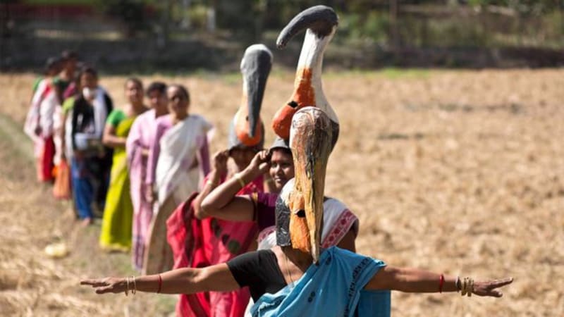 20,000 Women Save India's 'Bone-Swallower' Stork