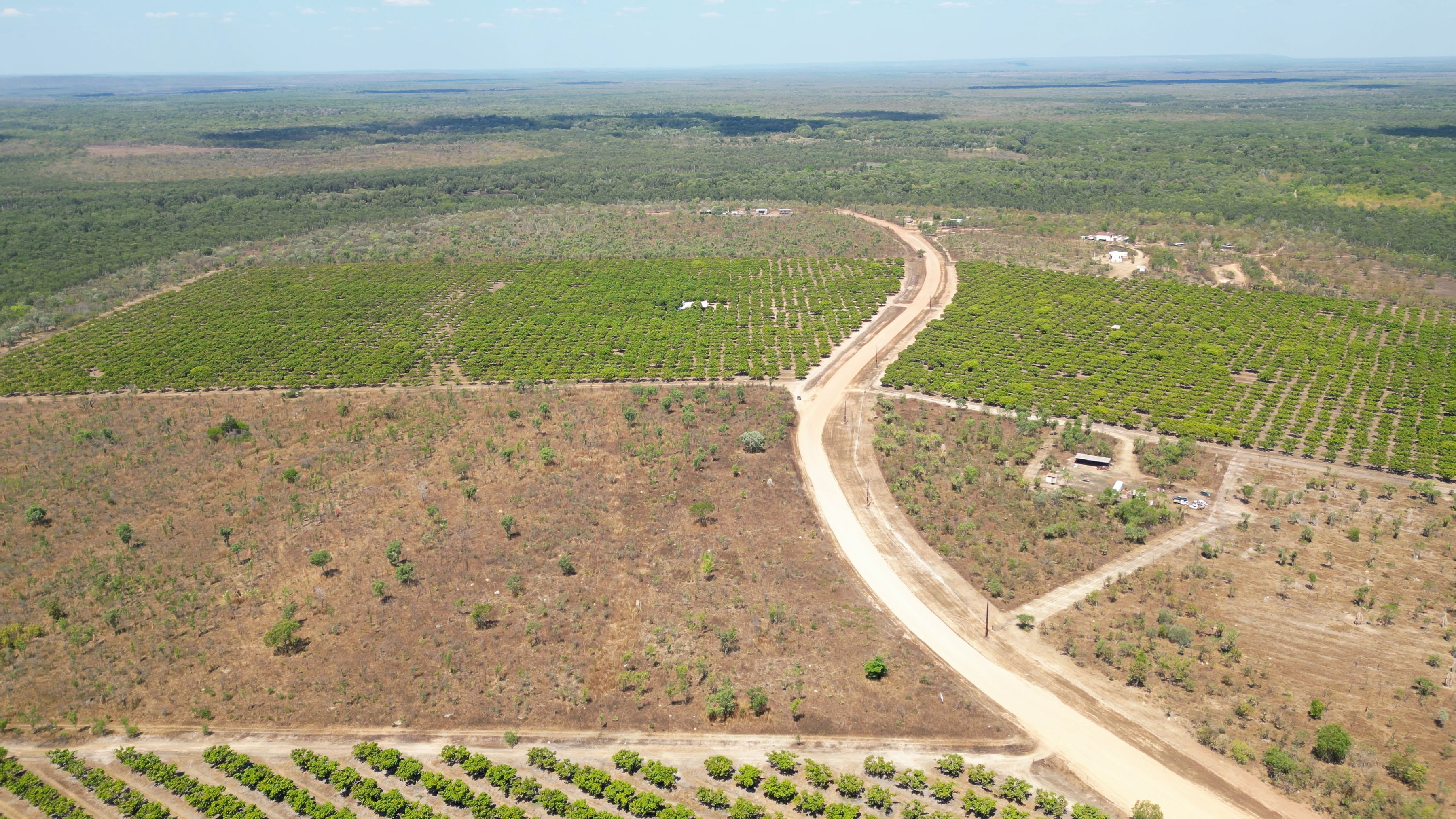 Top View