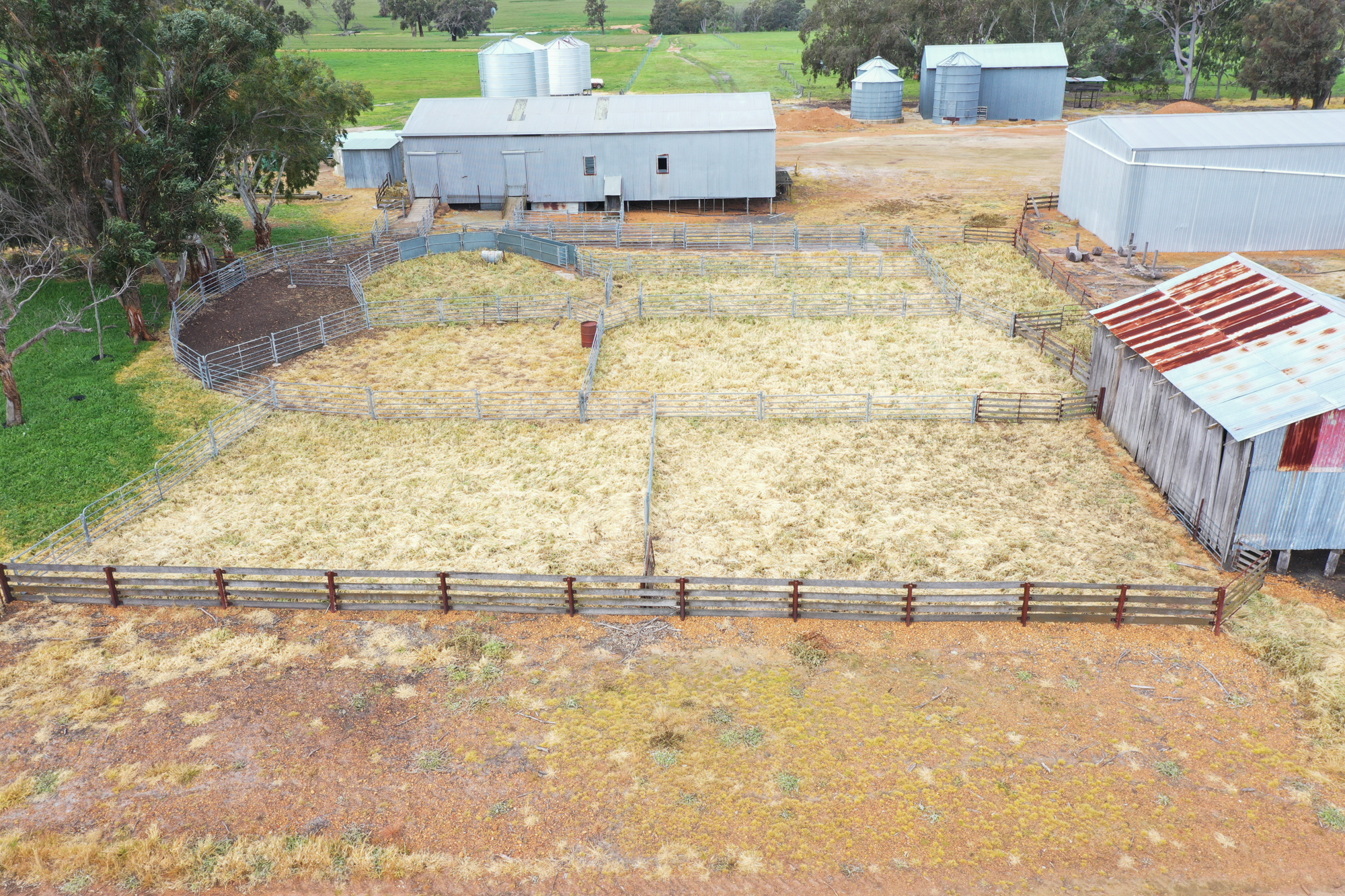 Yard
