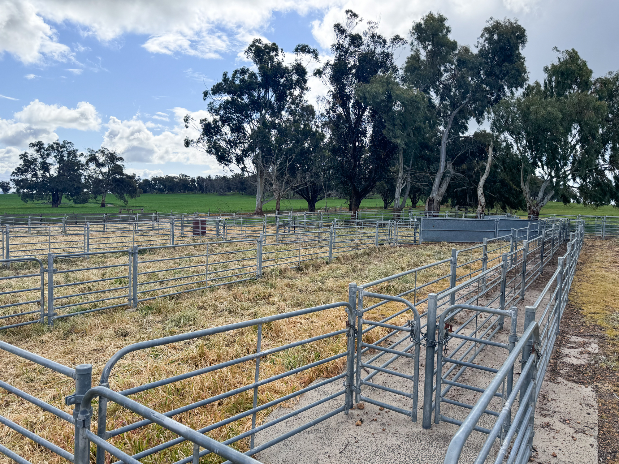 Yard