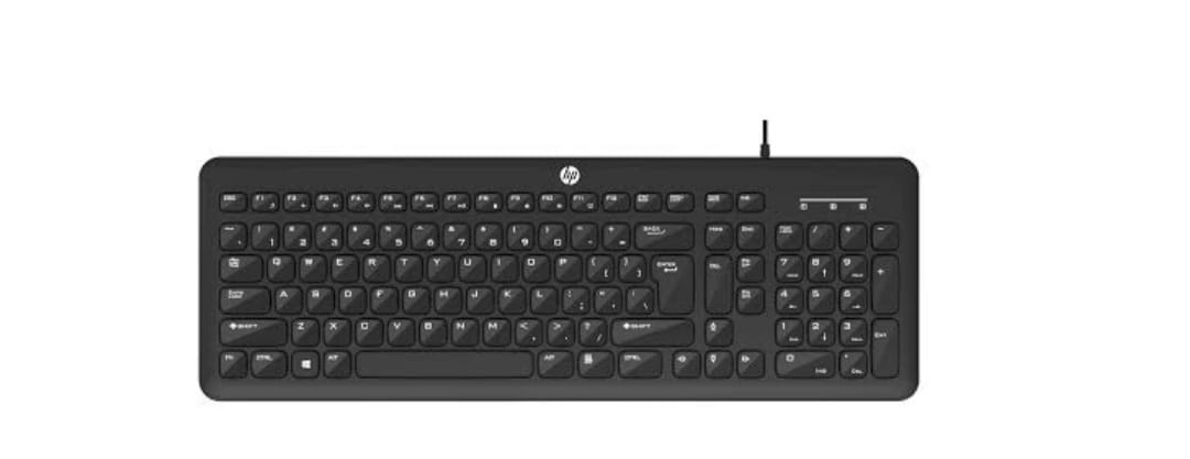 HP KM 160 WIRED KEYBOARD