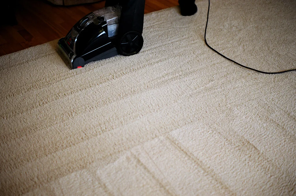 How to Get Grease Out of Carpet 5 Easy Steps Spadone Home