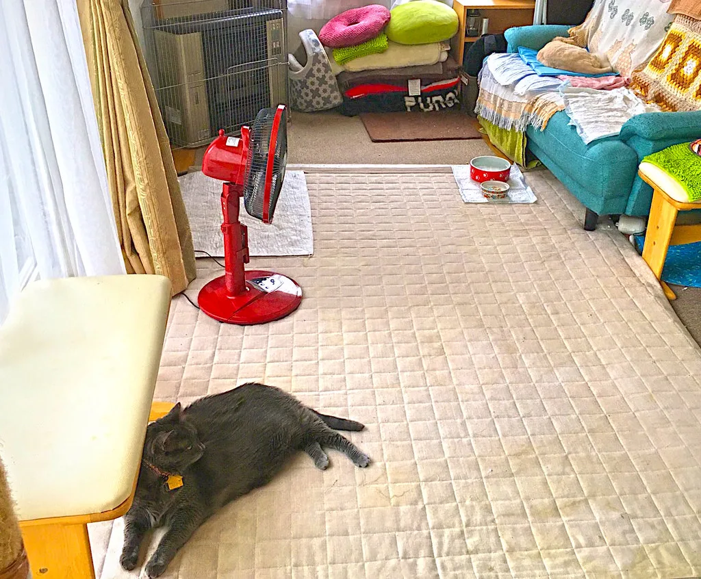 Why is My Room So Hot Compared to Rest of House Spadone Home