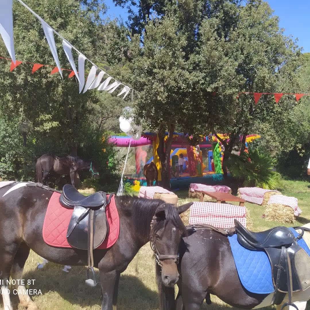 Centro Equestre Mirmex ASD