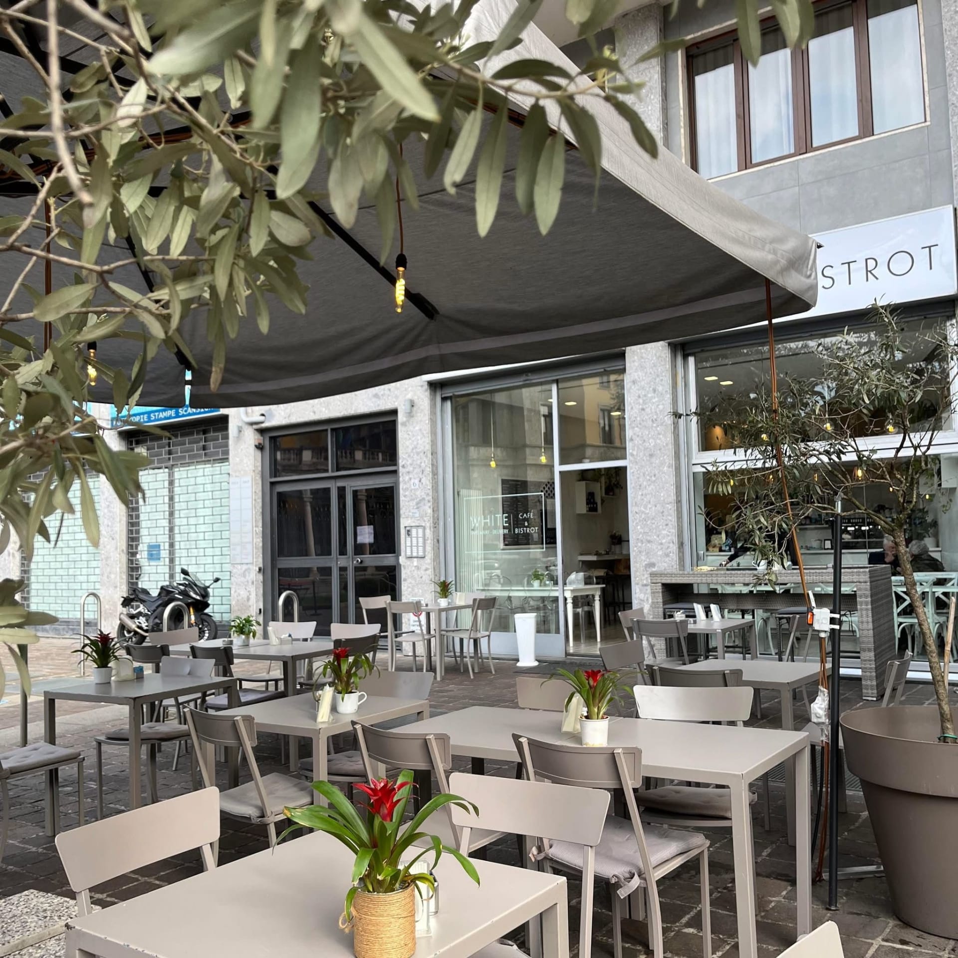 White cafe e bistrot