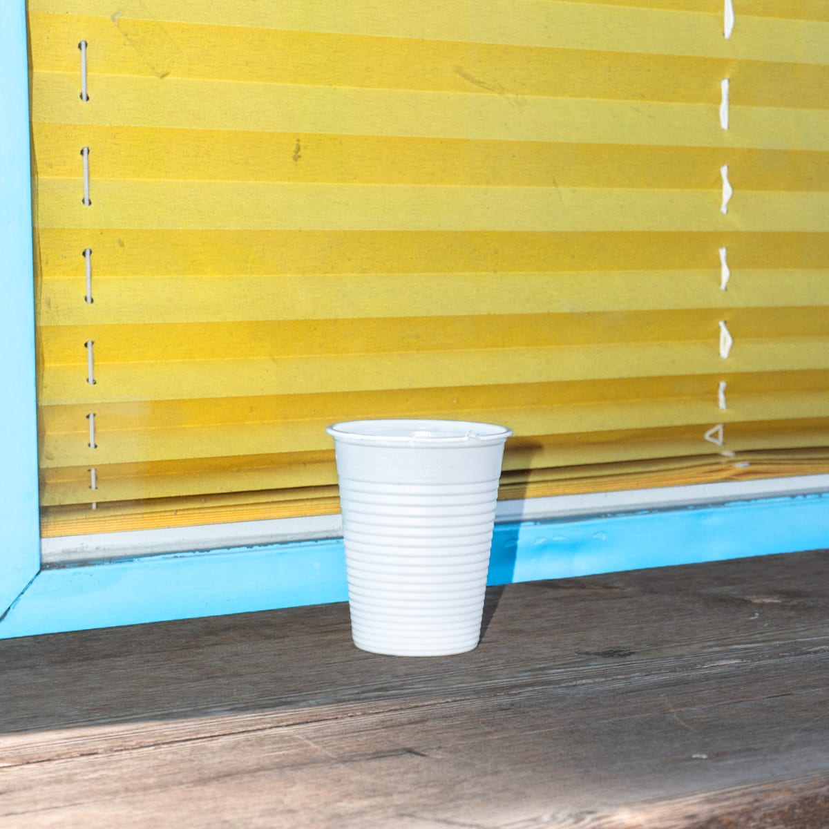 Felpe della Maui — copertina del singolo di pawa+pecetta