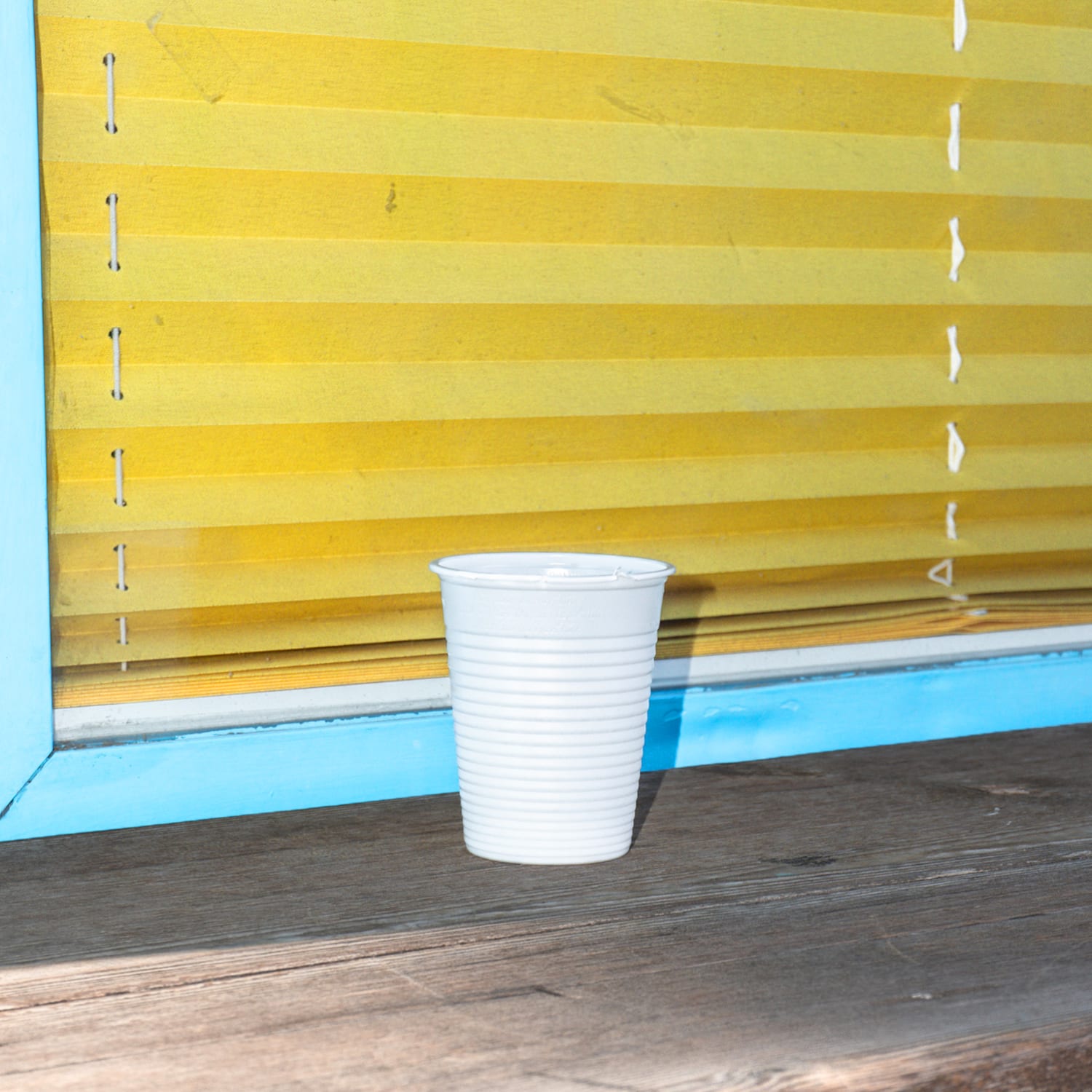 Felpe della Maui — copertina del singolo di pawa+pecetta