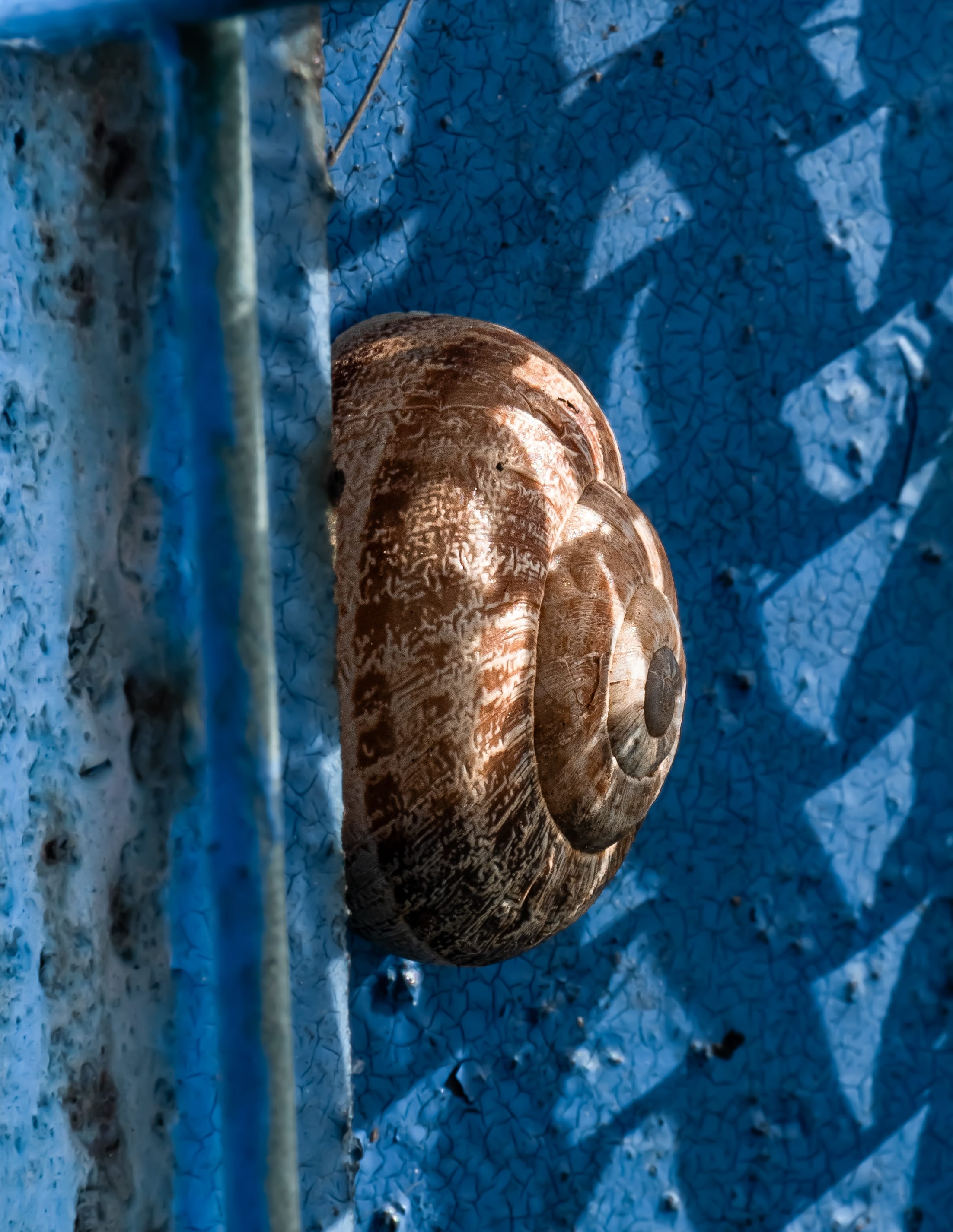 Untitled photograph by Fotosottocasa