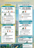 TRẢI NGHIỆM CÂU MỰC ĐÊM - 2