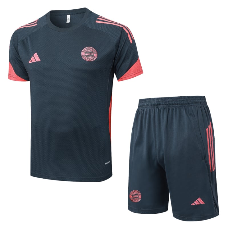 Bayern D25169