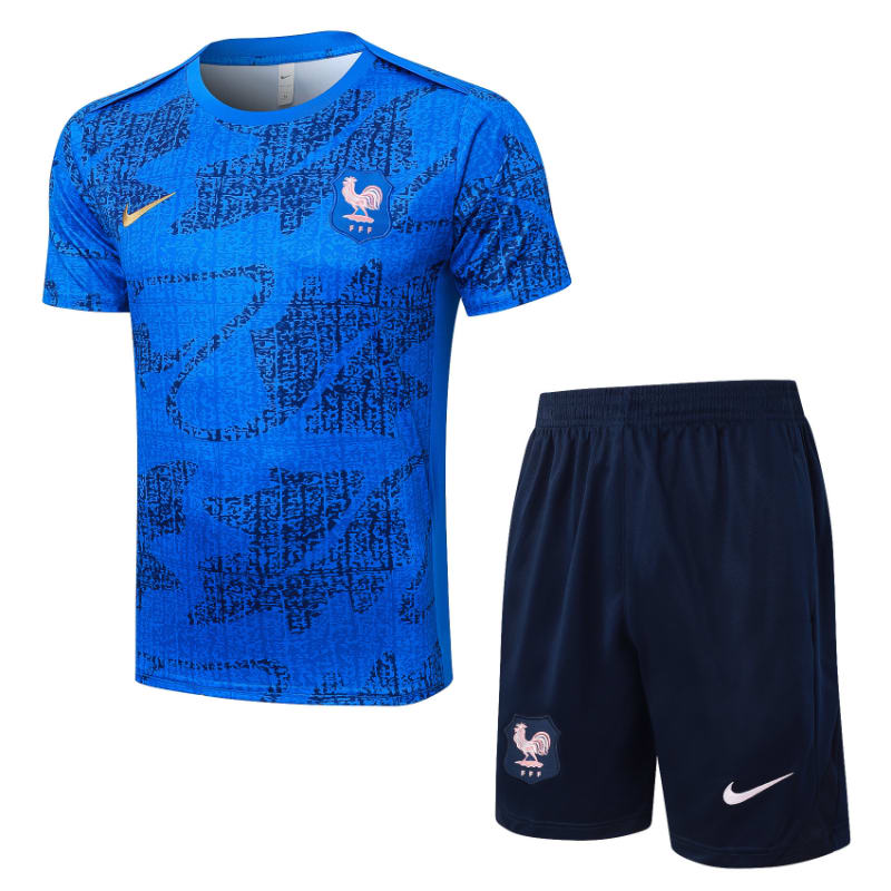 Francia D25137