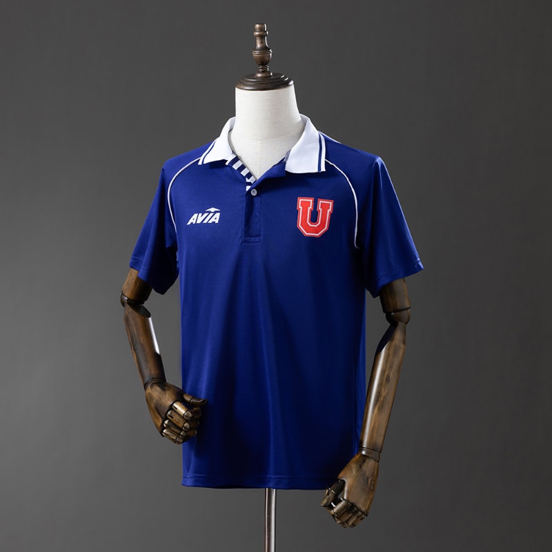 Universidad de Chile 1993 imagen 3