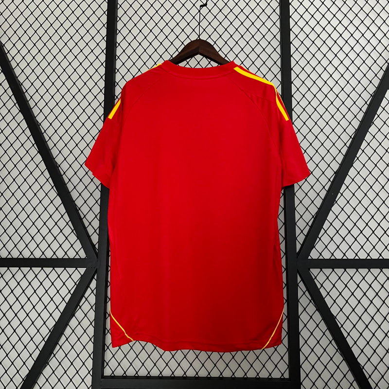 España 2008 -2