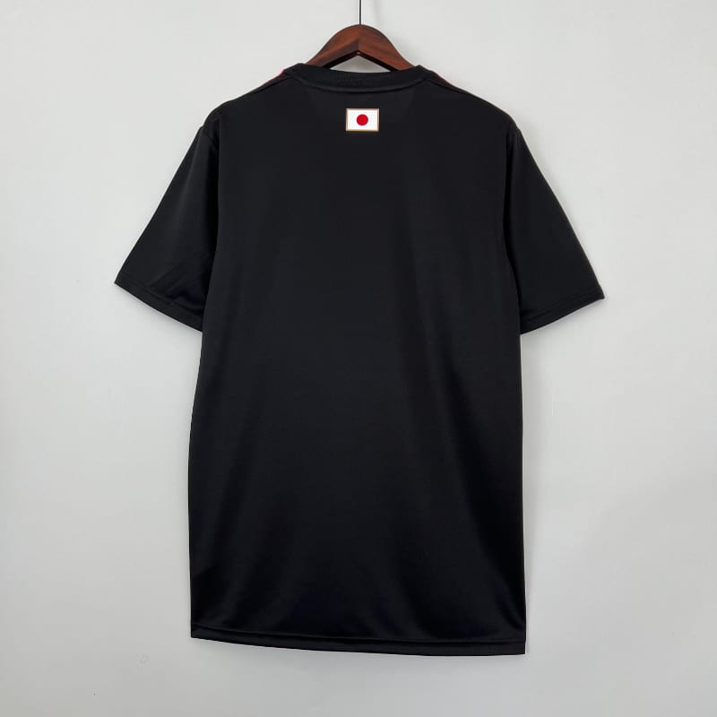 Especial Japon 2023 imagen 6