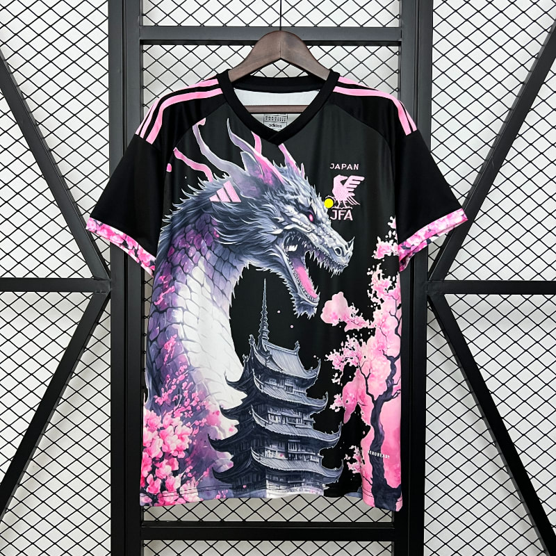 Especial Japon 2024 imagen 41