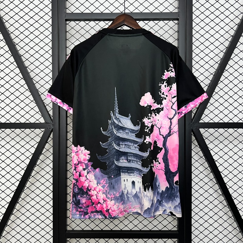 Especial Japon 2024 imagen 42