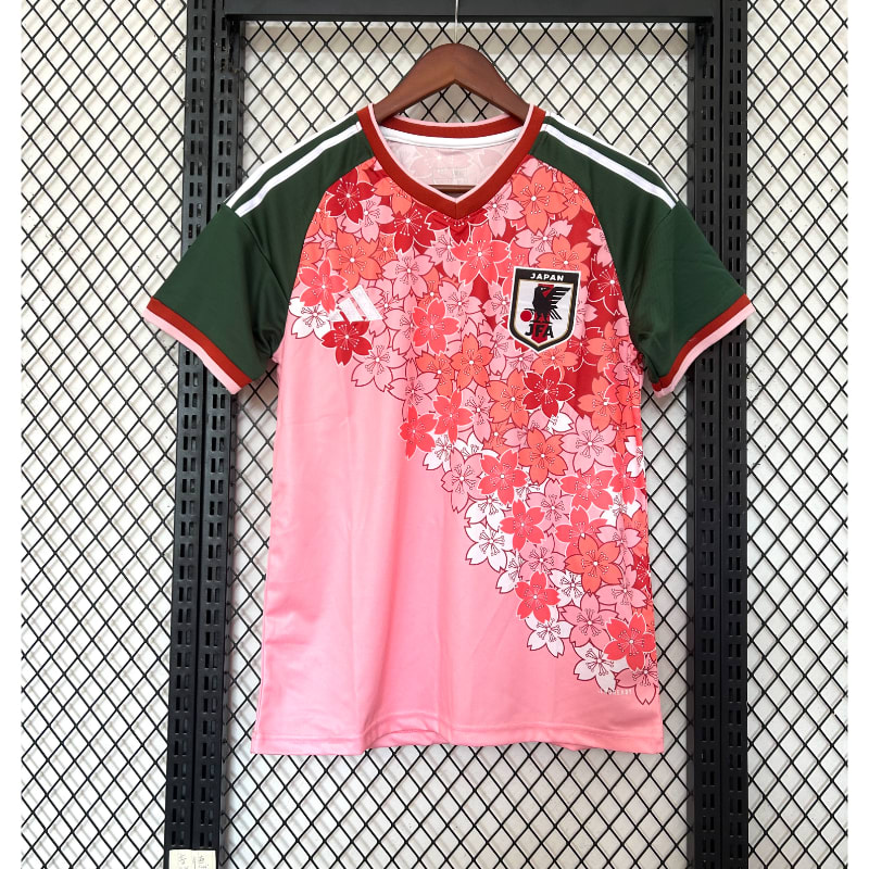 Especial Japon 2025 imagen 107