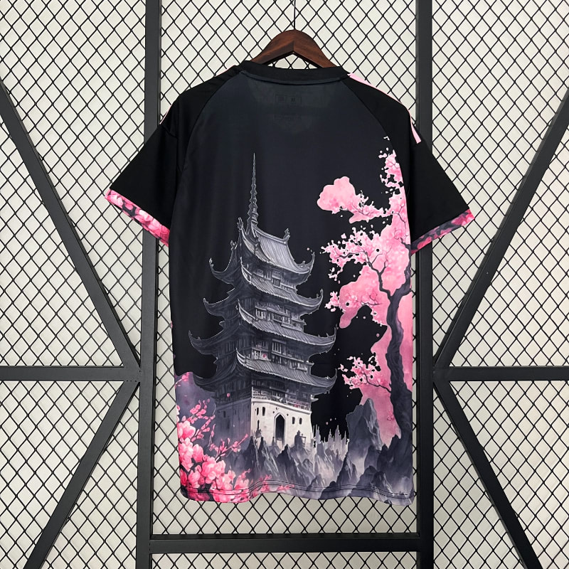 Especial Japón 2024 imagen 10