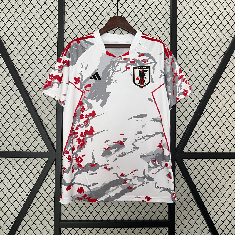 Especial Japón 2024 imagen 13