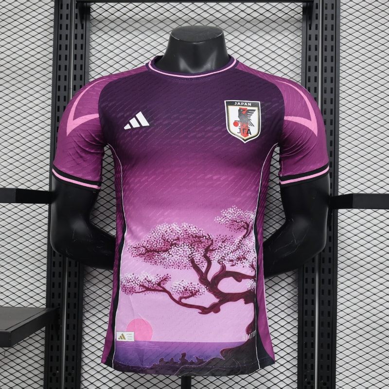 Especial Japon 2024 VJ imagen 3