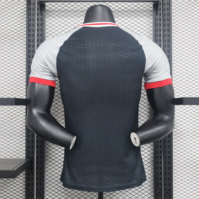 Especial Japon 2024 VJ imagen 6