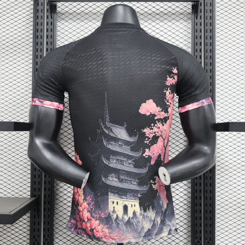Especial Japon 2024 VJ imagen 16