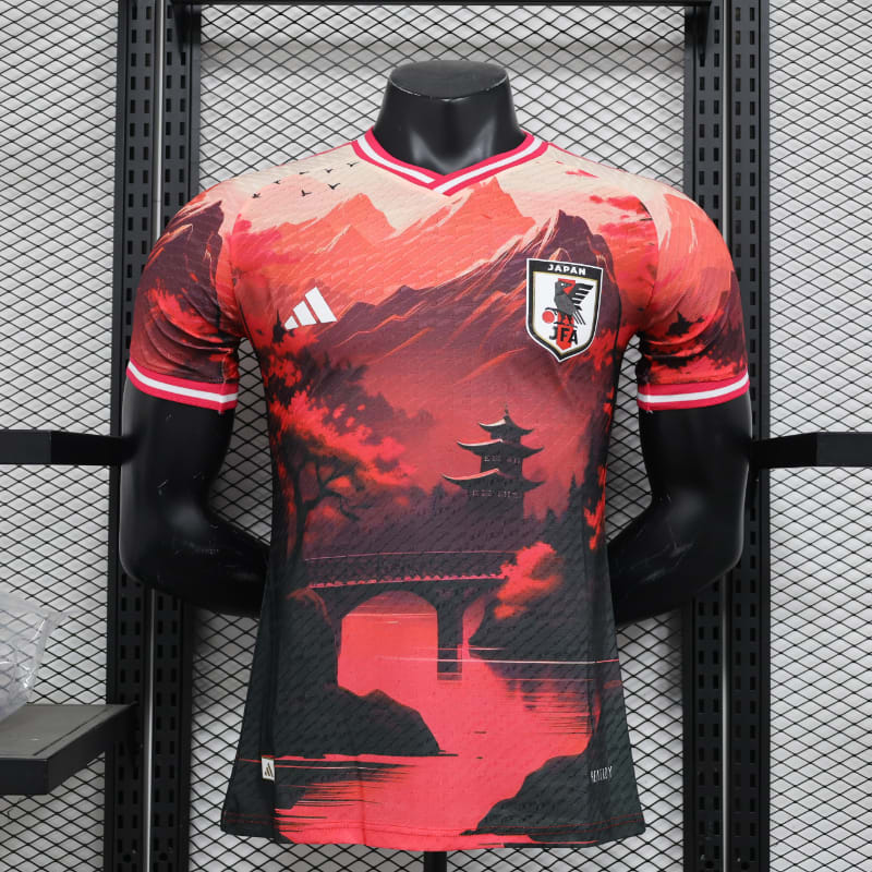 Especial Japon 2024 VJ imagen 29